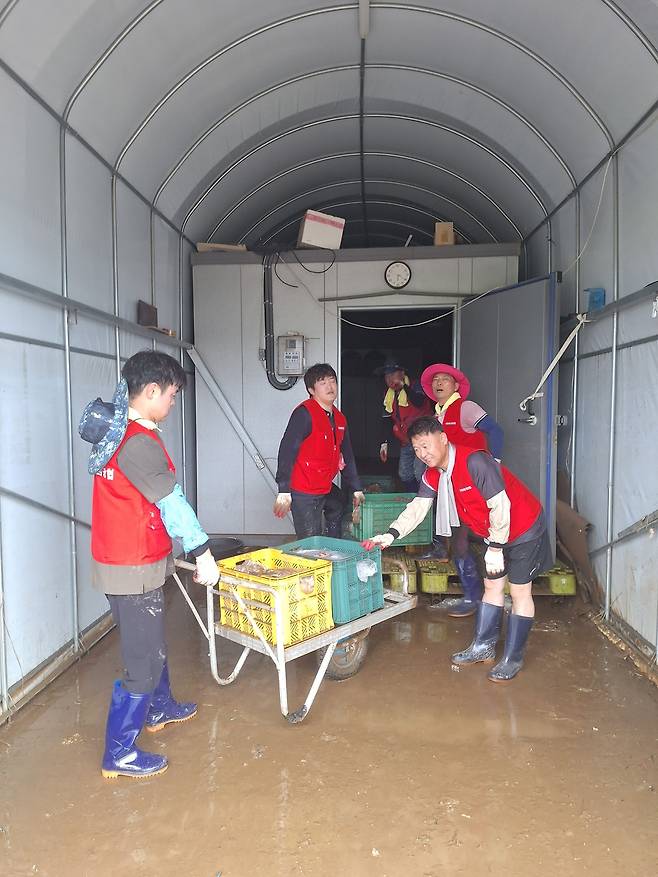 국민의힘 소속 천안시의회 김강진(왼쪽 두번째)·권오중(오른쪽)의원이 김행금 의장 출판기념회가 열리는 동안 수해 복구 현장에서 구슬땀을 흘렸다.