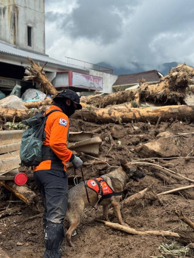 구조대원이 실종자 수색 작업을 벌이고 있다. 경남도 제공