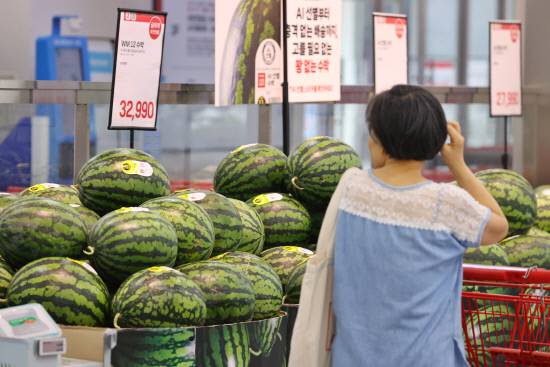 폭염, 폭우에 수박 가격은(?) 21일 서울 시내 한 대형마트 과일 판매대에서 시민들이 장을 보고 있다. 폭염에 이어 폭우 피해로 인해 과일과 채소 가격 급등 우려가 커지고 있다.연합뉴스