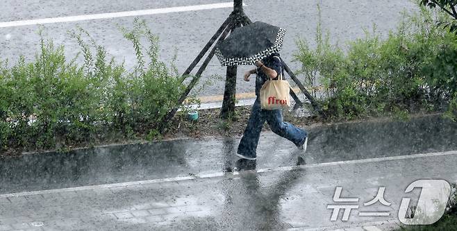 지난 8일 전북 완주군 삼봉로 일원에 소나기가 쏟아지고 있다. 2025.7.8/뉴스1 ⓒ News1 유경석 기자