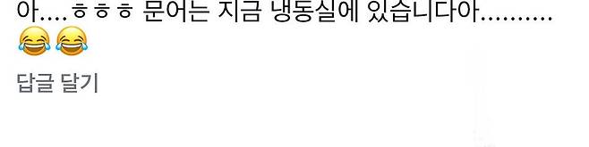 IMG_9978.jpeg 부산 광안리 무단 횡단하는 문어 ㅋㅋㅋ.MP4
