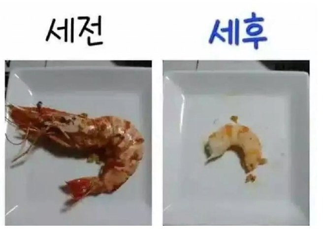 2025-07-21 105455.png 새우가 알려주는 직장인의 삶