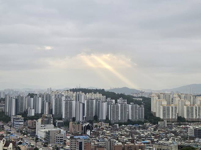 20250721_064516.jpg 나도 오전에 지리는거 찍음