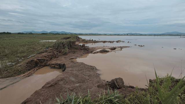 지난 17일 충남 예산군 삽교읍 성리천 하류의 제방 둑이 무너져 농경지와 마을이 침수됐다. 예산=윤형권 기자