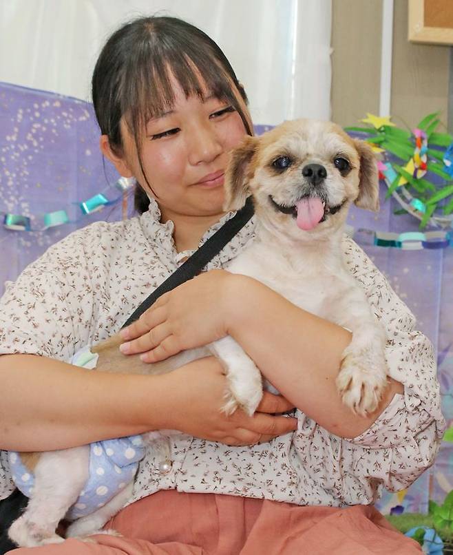 구출된 이후 털 손질을 마친 반려견의 모습. 원러브 제공