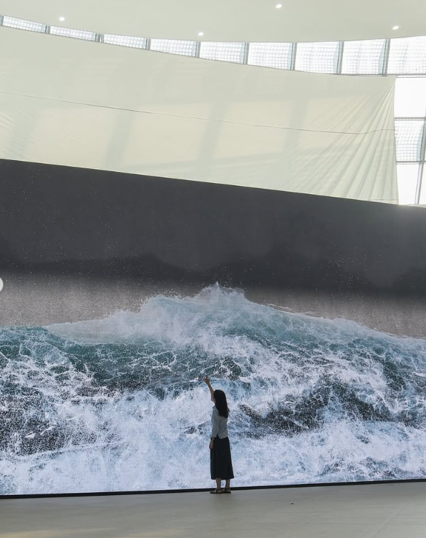 웨일 넘버투 / 사진=국립인천해양박물관 공식 인스타그램 캡처