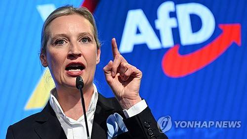 알리스 바이델 AfD 공동대표 [로이터 연합뉴스]
