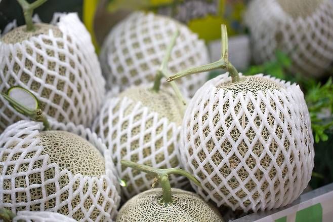 수박과 멜론의 경우는 충남 부여(수박), 전남 담양·곡성(멜론) 등 침수 피해와 제철 과일 수요 등이 겹쳐 당분간 전·평년보다 높은 가격이 이어질 것으로 전망된다. 클립아트코리아 제공