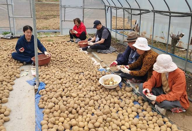 평창군, '강원에서 살아보기' 프로그램 성료 [평창군 제공. 재판매 및 DB 금지]
