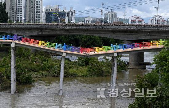 ▲ 울산 중구 옛 삼호교가 붕괴위기에 처해 있다. 다리 상판이 내려앉고 교각에 금이 가는 증상으로 통행이 전면 통제되고 있다. 김동수기자
