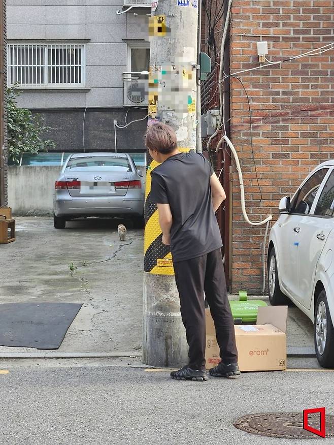 지난 7일 길고양이 포획자가 고양이의 관심을 끌고 있다. 박승욱 기자