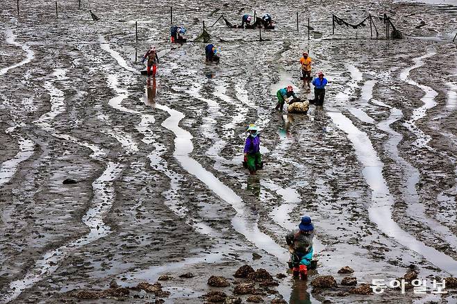 최혁중 기자 sajinman@donga.com