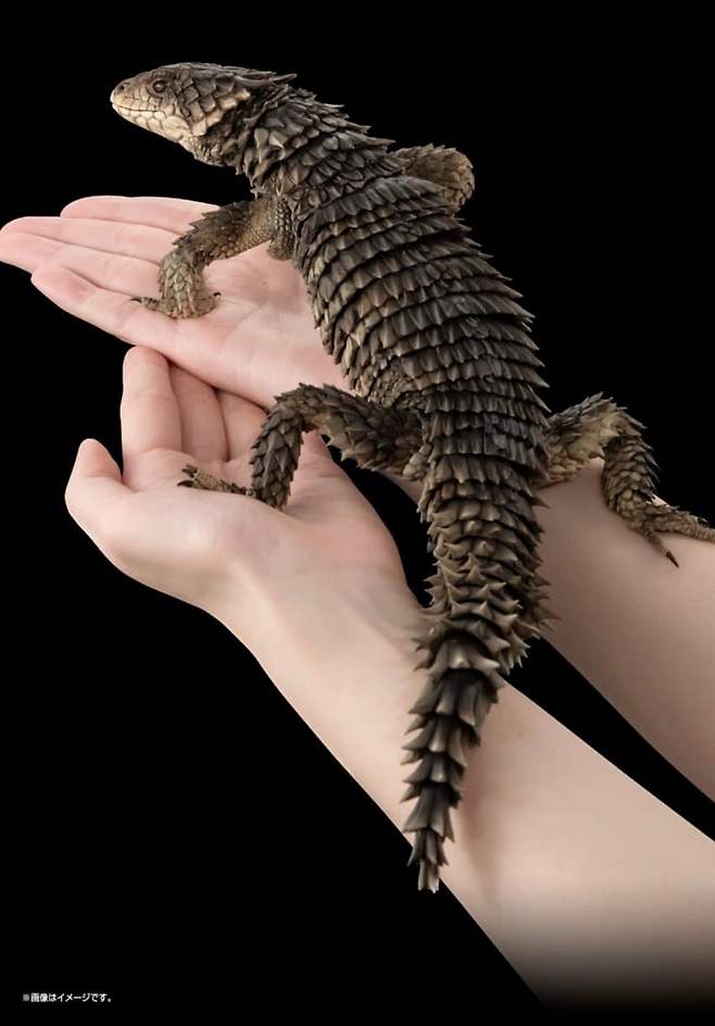 1.jpg 일본의 25만원짜리 장난감