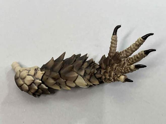 5.jpg 일본의 25만원짜리 장난감