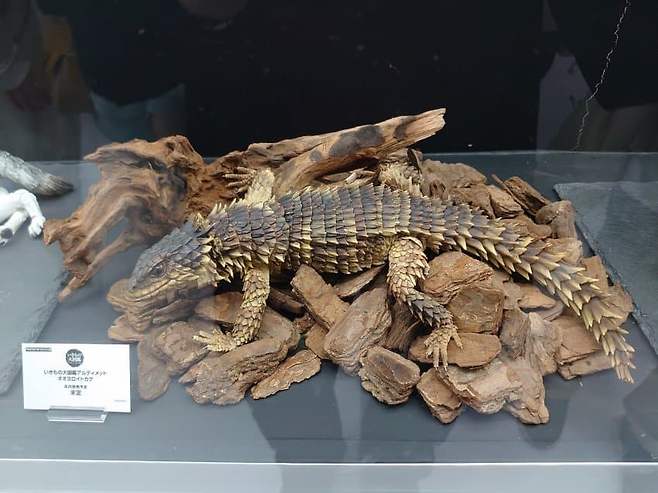 10.jpg 일본의 25만원짜리 장난감