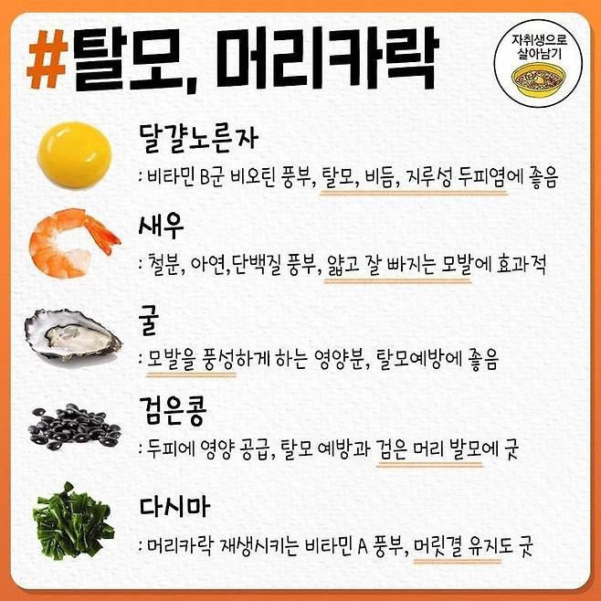 몸에 좋은 음식 모음.jpg