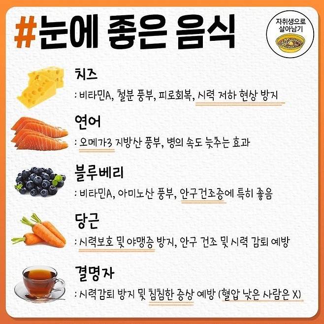 몸에 좋은 음식 모음.jpg