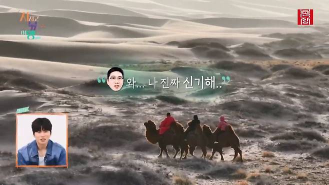 [지지고 볶는 여행]드디어 고비 사막에 도착! ....했는데 짜증 난 옥순! 이유는 낙타 위에서 옥순을 살살 긁는 영식 때문! 제발 그만...! ep19-1.mp4_20250722_122519.646.jpg 나는솔로 옥순이 낙타 타다 영식에게 짜증난 이유