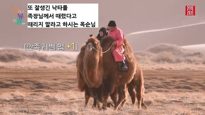 [지지고 볶는 여행]드디어 고비 사막에 도착! ....했는데 짜증 난 옥순! 이유는 낙타 위에서 옥순을 살살 긁는 영식 때문! 제발 그만...! ep19-1.mp4_20250722_122818.493.jpg 나는솔로 옥순이 낙타 타다 영식에게 짜증난 이유