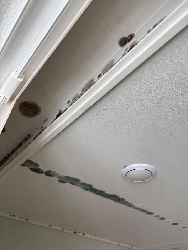 올해 1월 공공임대주택 온라인 모임에 공개된 첫 입주 아파트 곰팡이 사진. 수도권 이남의 한 아파트로 추정된다. LH는 내부 구조상 LH 아파트일 가능성이 높다면서도 임대주택 공급량이 많아 어느 단지인지 지목하지는 못했다. 온라인 캡처