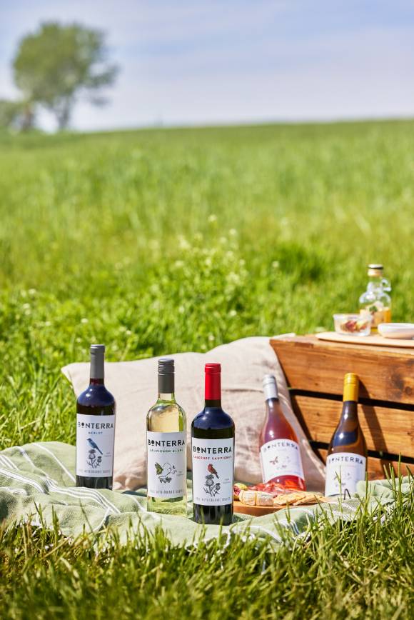 본테라 와인 시리즈. [사진=아영FBC 제공]
