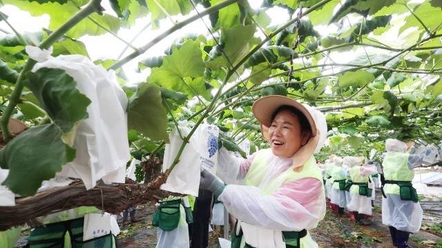 사진 출처 : 연합뉴스