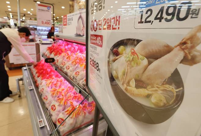 서울 한 대형마트를 찾은 시민이 삼계탕용 닭을 고르고 있다. 2023.7.10 사진=연합뉴스