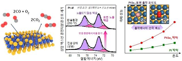 (왼쪽)PtSe2 표면에서 진행되는 일산화탄소 산화 반응에 대한 모식도. 표면의 셀레늄이 떨어진 자리 아래에 존재하는 백금에 기체 반응물들이 흡착되어 반응이 진행된다. (가운데)진공상태와 일산화탄소 산화반응 환경에서 연속적으로 진행된 상압 엑스선 광전자분광 분석. 진분홍색 픽은 표면에 노출된 백금의 존재를 보이고 이가 흡착점으로 기능함을 시사한다. (오른쪽 위) PtSe2 표면에 흡착한 일산화탄소와 산호의 흡착을 보여주는 모식도. 두 기체 사이의 흡착 에너지 차이가 일반적인 백금 표면에 대한 흡착에 비해 크게 완화되었다. (오른쪽 아래)온도에 따른 PtSe2 박막과 백금 박막의 일산화탄소 산화 반응 성능 비교. KAIST