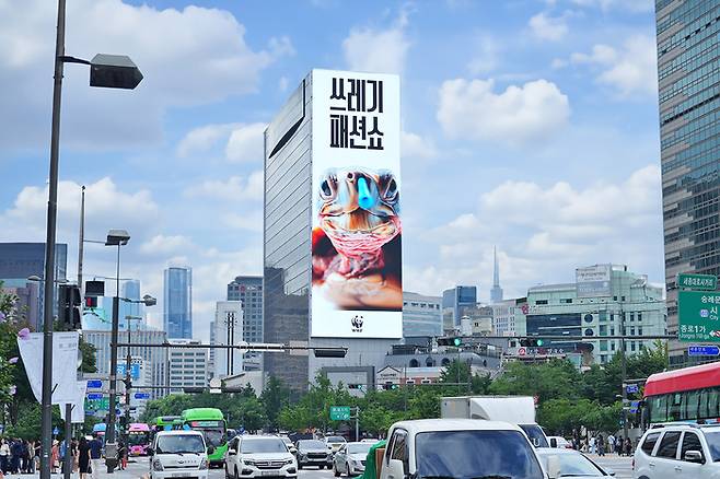 22일 제일기획(대표이사 사장 김종현)과 WWF(세계자연기금)는 플라스틱 오염의 심각성을 알리는 ‘쓰레기 패션쇼’ 캠페인을  오는 8월 20일까지 진행한다고 밝혔다. 사진은 코에 플라스틱 빨대가 꽂힌 거북이가 등장한 ‘쓰레기 패션쇼’ 캠페인 영상이 광화문 대형 전광판에 송출되는 모습. [제일기획]