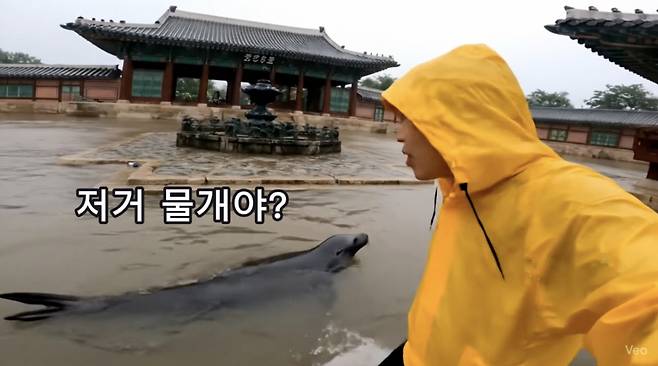 AI로 만든 가상 영상. 사진은 장마로 수해를 입은 경복궁에 물개가 수영하고 있는 모습. /사진=유튜브 채널 골파닭