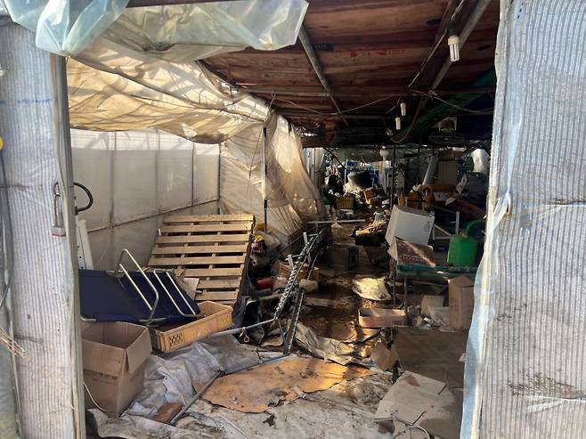 22일 오전 광주 북구 월출동에 위치한 김원오씨의 토마토 재배 비닐하우스 내부 모습. 지난 17일부터 쏟아진 폭우로 김씨 비닐하우스 작업장은 온통 진흙밭이었고 가재도구 역시 엉켜 있는 모습이었다. /사진=민수정 기자.