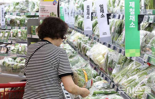 [서울=뉴시스] 황준선 기자 = 21일 서울 시내 한 대형마트 채소 매대에서 소비자들이 채소를 고르고 있다.한국농수산식품유통공사(aT)에 따르면 지난 18일 기준 수박 한 통의 소매가격은 3만866원으로 전년 대비 44.7% 상승하고 배추 한 포기는 4853원으로 전월 대비 43.1% 오르는 등 폭염에 이은 폭우 영향으로 농산물 가격이 급등하고 있다. 2025.07.21. hwang@newsis.com