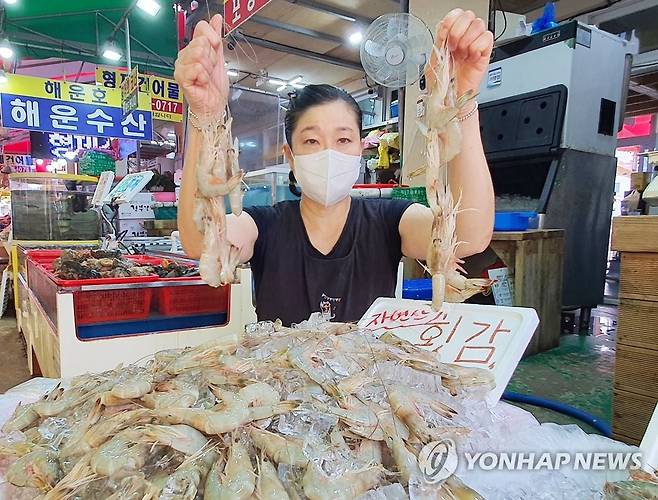 자연산 태안 대하 [연합뉴스 자료사진]