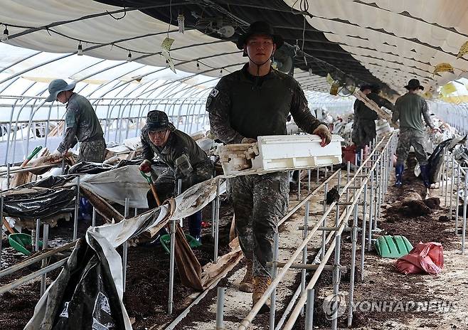 수해복구에 나선 31사단 장병 (광주=연합뉴스) 조남수 기자 = 21일 오전 광주 북구 용강동 한 딸기농장에서 31사단 장병들이 수해복구 작업하고 있다. 2025.7.21 iso64@yna.co.kr