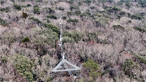 제주 산림에 설치된 플럭스타워 [국립산림과학원 제공. 재판매 및 DB 금지]