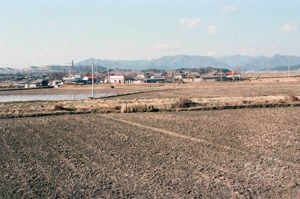 개발 전 둔산지구 모습.(사진=대전시 제공)