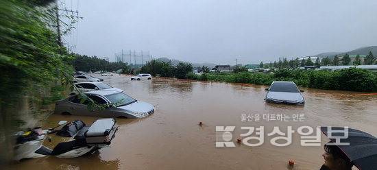 ▲ 지난 19일 연이은 강우로 울산 울주군 언양읍 반천현대아파트 주민들이 임시 주차장으로 사용하는 공터가 물에 잠기며 차량 51대가 침수됐다. 울산 울주군청 제공