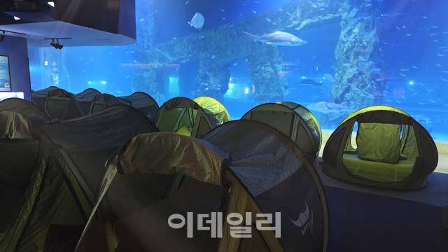 롯데월드 아쿠아리움 내 캠핑 현장 (사진=롯데월드)