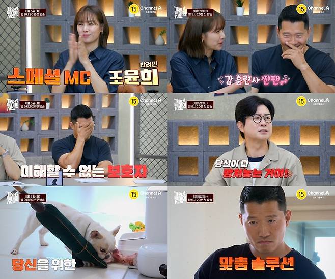 ‘개와 늑대의 시간’. 사진|채널A