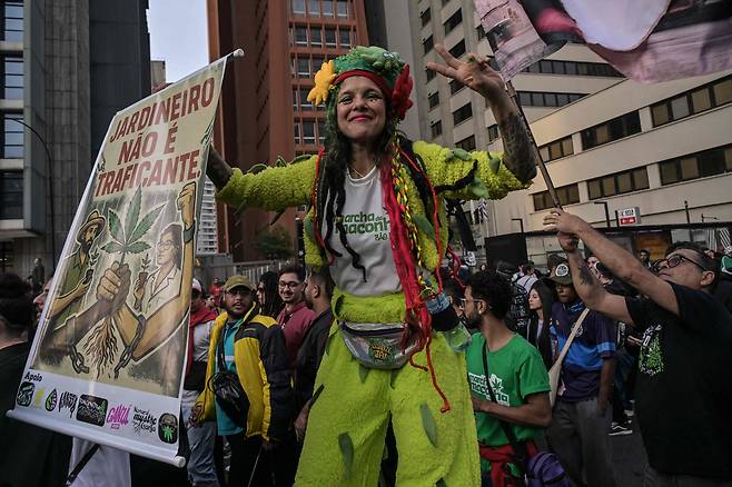 2025년 6월 14일 브라질 상파울루의 파울리스타 거리에서 마리화나 합법화를 요구하는 시위에서 장대 위에 선 예술가가 공연을 펼치고 있다. /연합뉴스