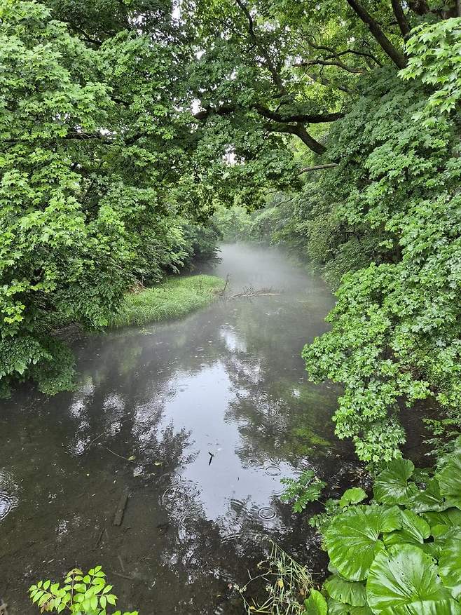 06bcdb27eae639aa658084e54484746a6e773f012cecc8336b5e3d31284e73629169be909d5bfc93b517ee3f8b