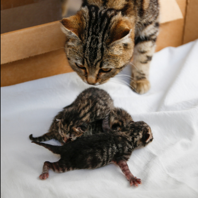 게티이미지뱅크