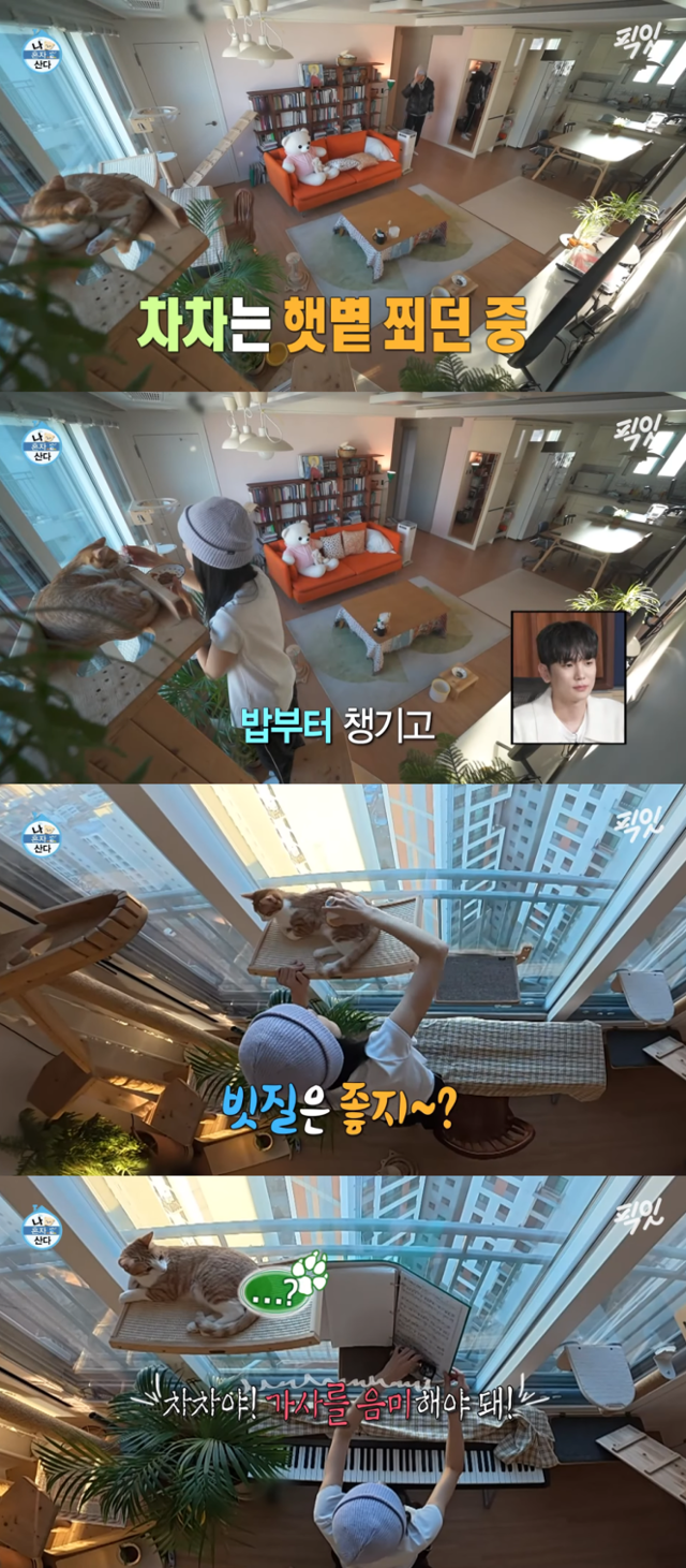 지난 2월 MBC 배우 옥자연 씨가 공개한 반려묘 '차차'와의 일상생활. MBC 유튜브 채널 '픽잇' 캡처