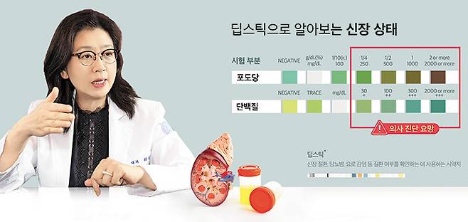 분당서울대병원 내분비대사내과 최성희 교수는 “딥스틱에 소변을 묻혔을 때 정상뇨는 노란색으로 나오고, 단백뇨가 있을 경우 색이 녹색으로 바뀐다”며 “이 경우 빠르게 병원에 방문해 소변검사를 받는 것이 좋다”고 말했다. /김지아 헬스조선 객원기자. 그래픽=김민선