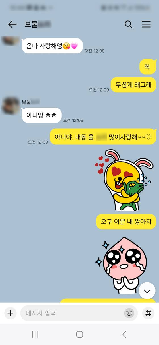 숨지기 직전 딸과 엄마가 나눈 마지막 카톡 대화. ‘오전 12:08’와 ‘오전 12:09’에 오간 시간이 보인다. 모녀의 마지막 대화였다. 그로부터 30분 지난 12시 40쯤 아파트 화단에서 시신으로 발견됐다. 어머니 카톡 캡처