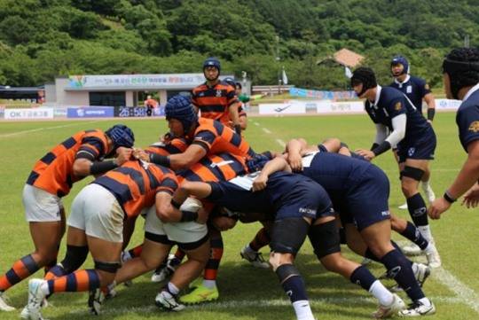 스크럼을 펼치는 국내 럭비 경기 모습