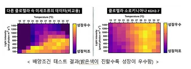 [세종=뉴시스] 국립낙동강생물자원관이 수행한 클로렐라 소로키니아나 배양조건 테스트. (자료=환경부). *재판매 및 DB 금지