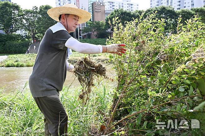 [의정부=뉴시스] 김동근 경기 의정부시장이 23일 지역 내 하천변 집중호우 피해 현장에서 복구 작업을 하고 있다. (사진=의정부시 제공) 2025.07.23. photo@newsis.com