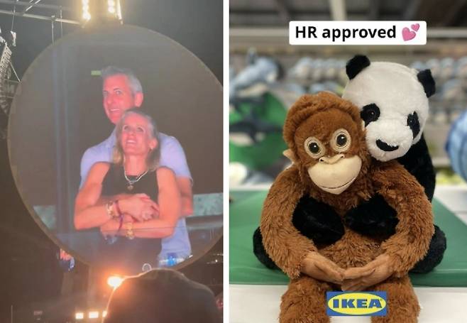 콜드플레이 콘서트에서 불륜 의혹이 제기된 미국 정보기술(IT) 기업 애스트로노머 남녀 임원의 모습(왼쪽)과 이를 인형으로 패러디한 이케아의 인스타그램 게시물. 소셜미디어(SNS) 캡처