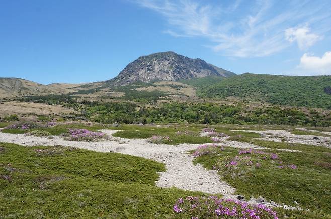 한라산 1600m 고지 한라산백록샘 인근에 위치한 모세왓이 2025 제주 국가유산 방문의 해’ 시즌3가 시작되는 8월 1일부터 일반인에게 한시적으로 공개된다. 유문암질 암석의 존재가 처음으로 확인된 곳으로 지질학적 가치가 높은 것으로 평가된다. 국가유산청·제주도세계유산본부 제공
